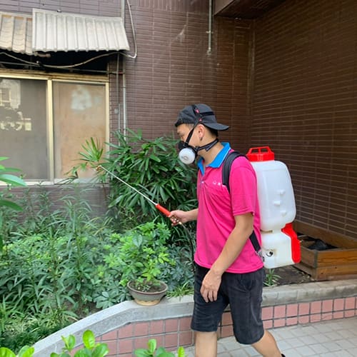 【環境消毒】老鼠-防治蟲害 (4)-zRs5Q.jpg